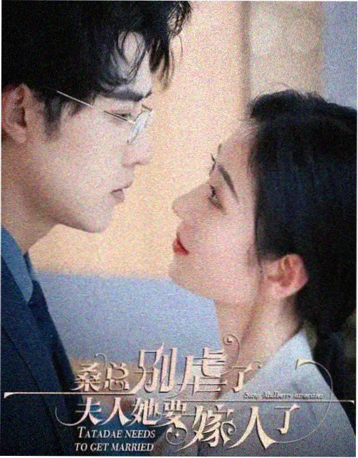 繁花 七七影院免费播放电视剧大全